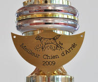 Gravure de petite signalétique pour trophée