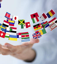 International project management by Gravotech