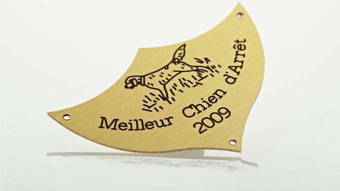 Trophy plaque in Gravometall™