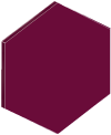Gravotac™ Exterior burgundy