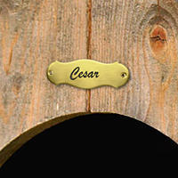 Gravure de plaque de niche, boxes, cages...